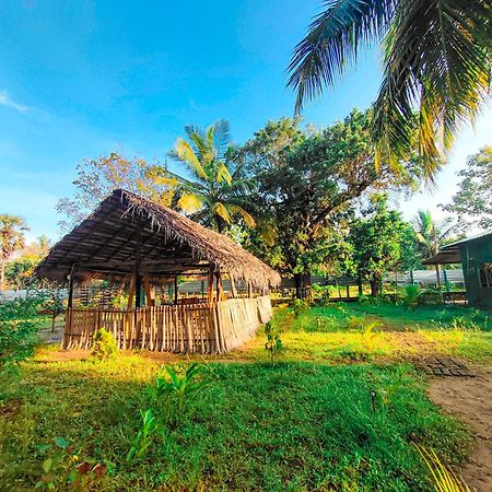 Wilpattu Green Cabin Achchamulai Zewnętrze zdjęcie
