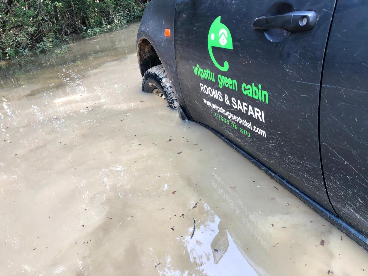 Wilpattu Green Cabin Achchamulai Zewnętrze zdjęcie