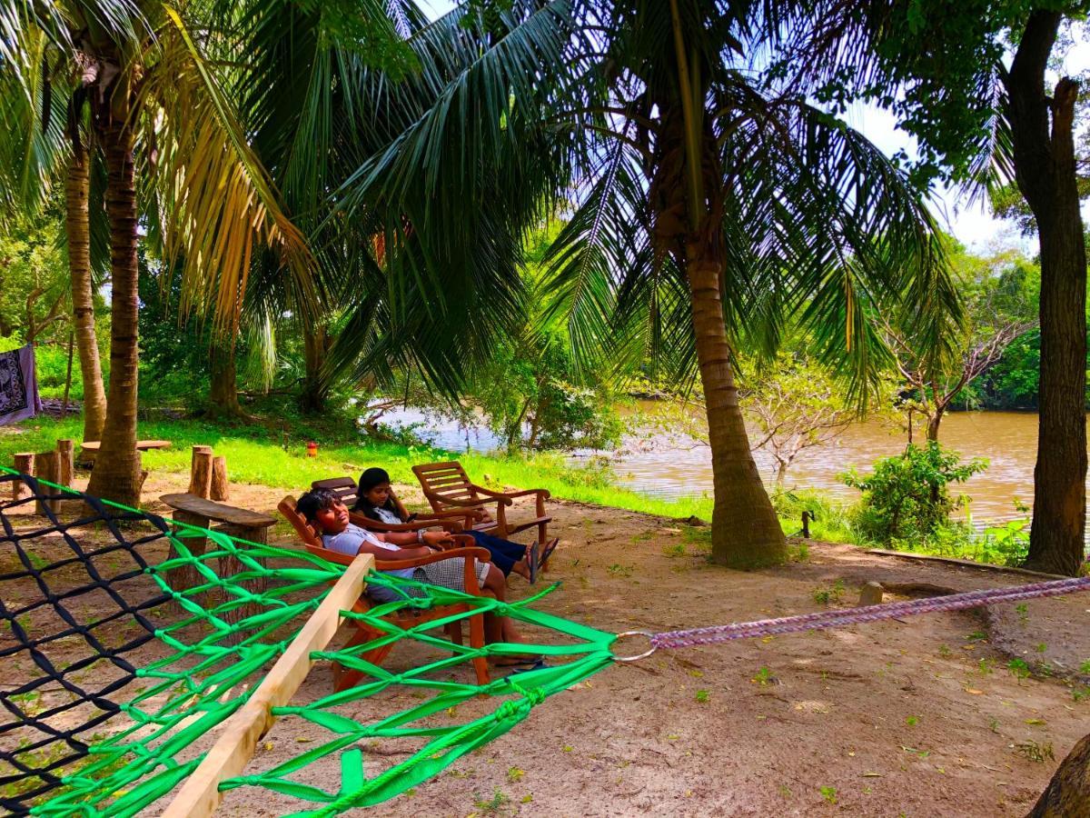 Wilpattu Green Cabin Achchamulai Zewnętrze zdjęcie