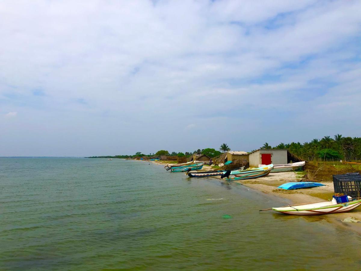 Wilpattu Green Cabin Achchamulai Zewnętrze zdjęcie