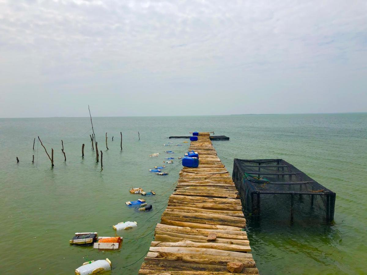 Wilpattu Green Cabin Achchamulai Zewnętrze zdjęcie