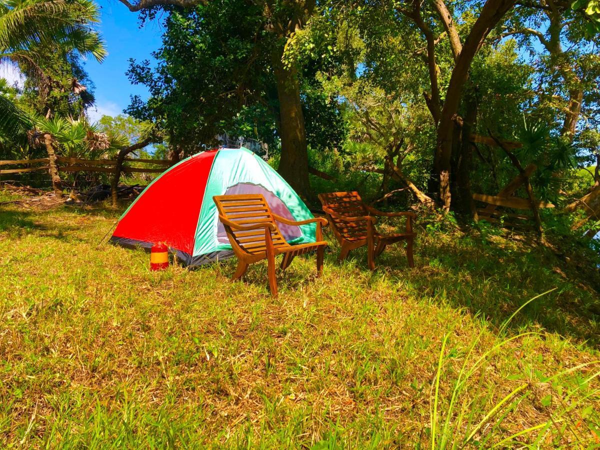 Wilpattu Green Cabin Achchamulai Zewnętrze zdjęcie