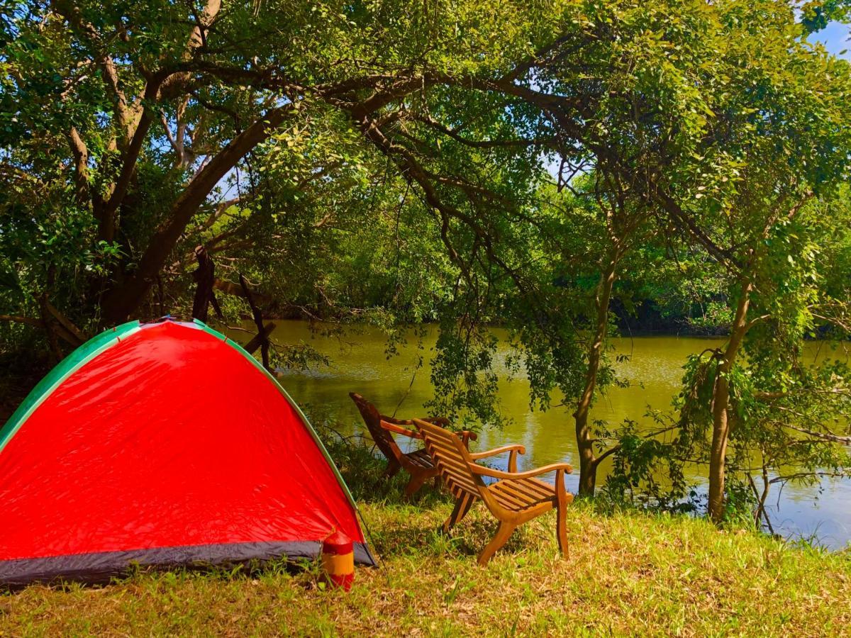 Wilpattu Green Cabin Achchamulai Zewnętrze zdjęcie