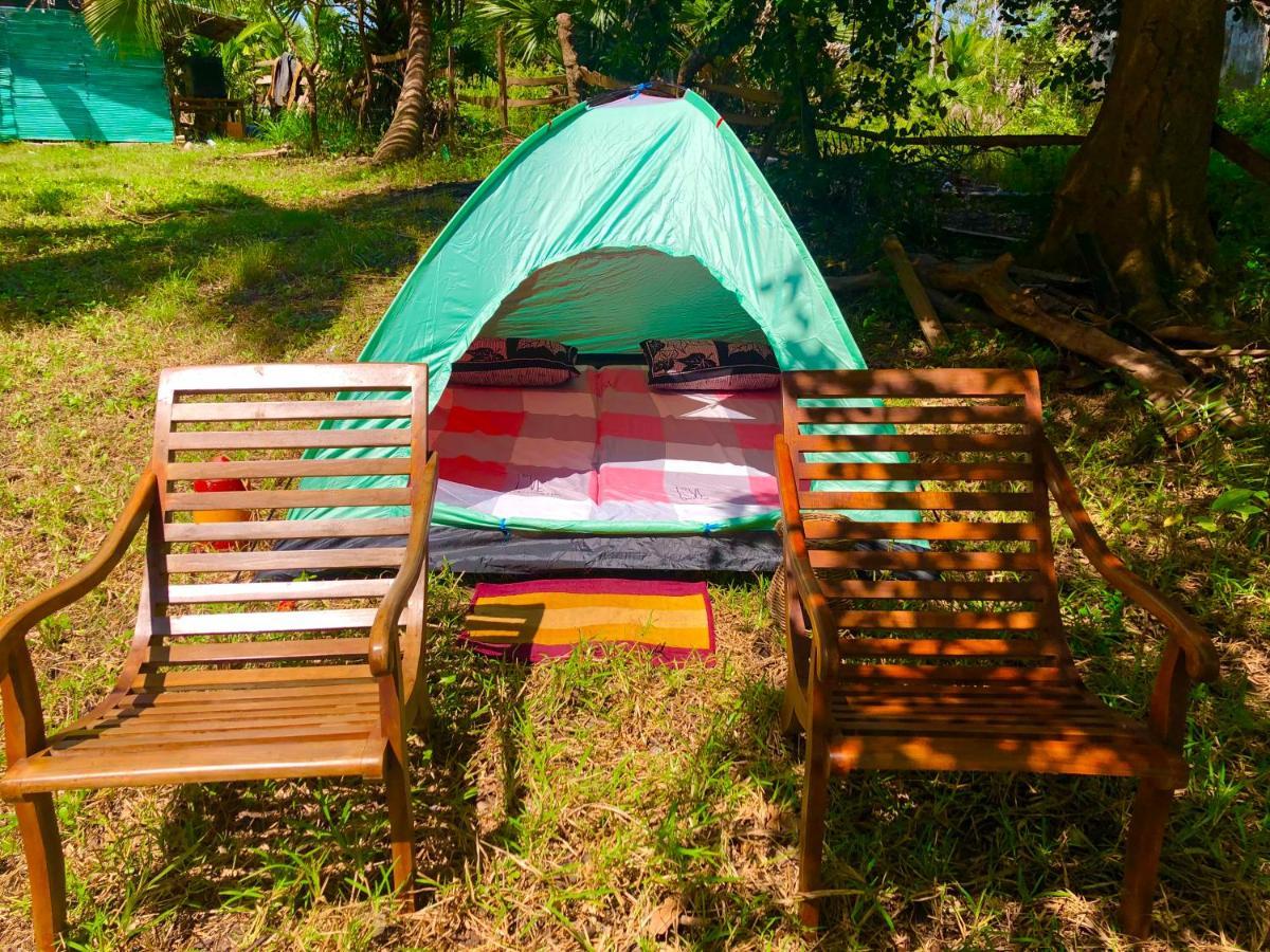 Wilpattu Green Cabin Achchamulai Zewnętrze zdjęcie