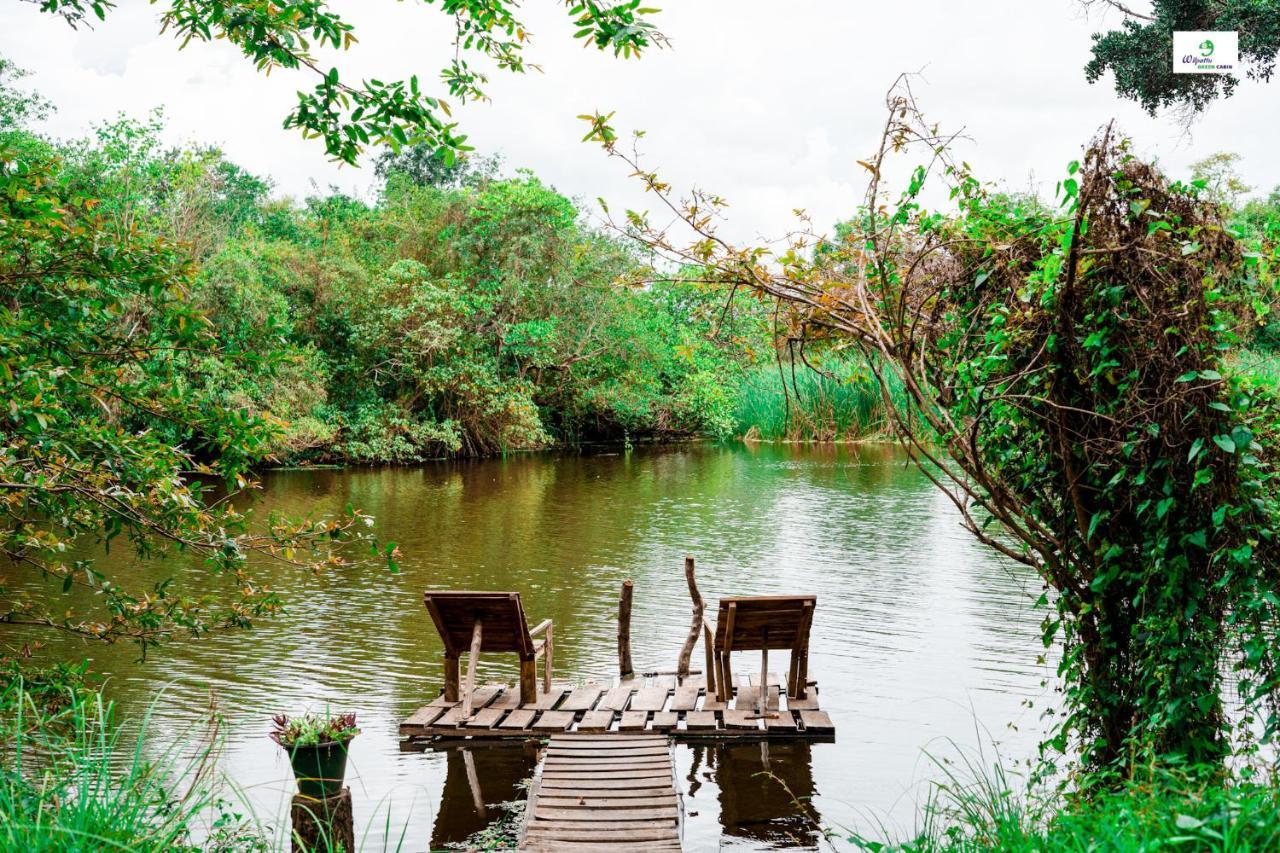 Wilpattu Green Cabin Achchamulai Zewnętrze zdjęcie