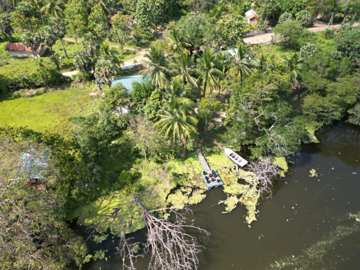 Wilpattu Green Cabin Achchamulai Zewnętrze zdjęcie