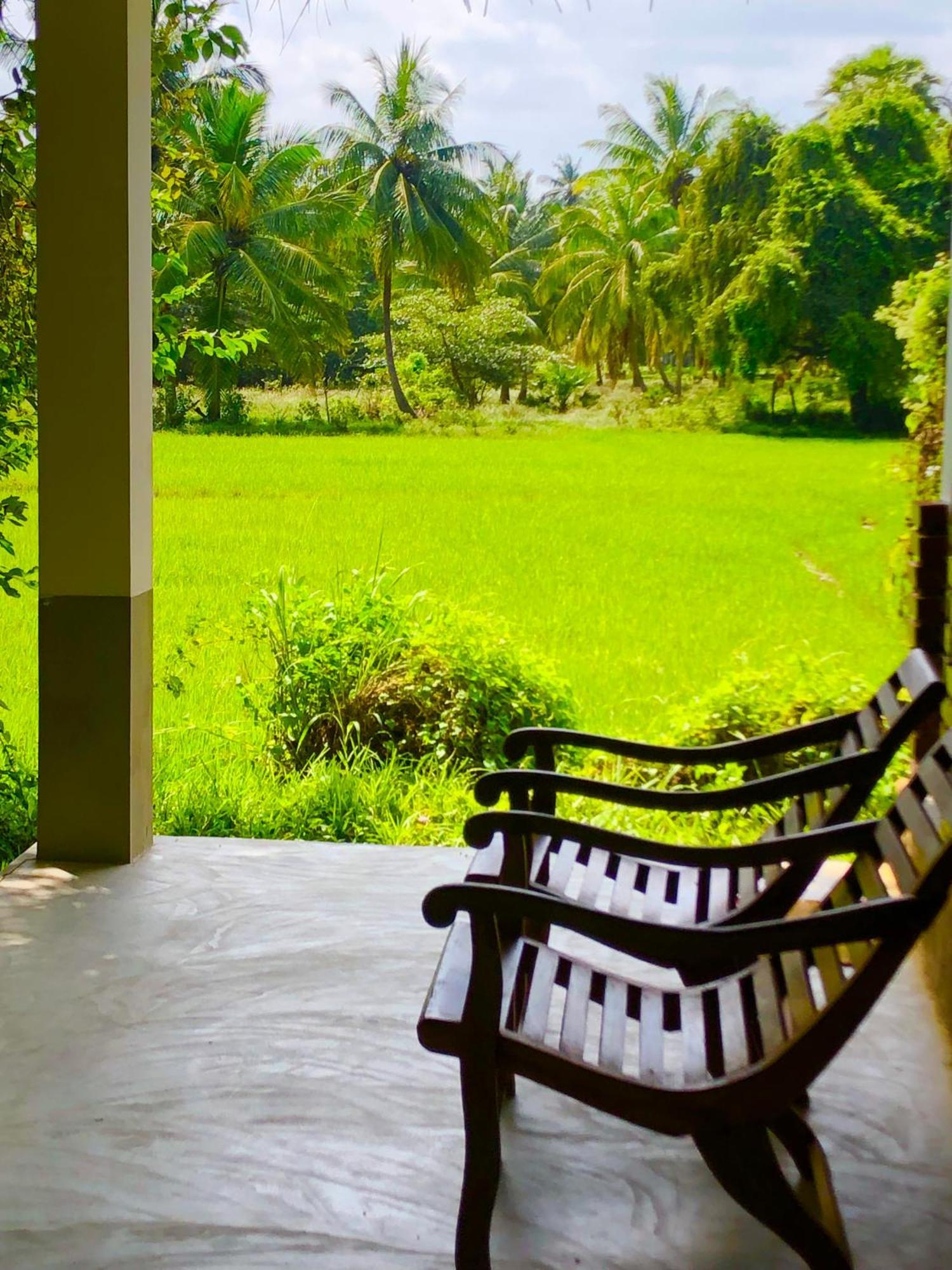Wilpattu Green Cabin Achchamulai Zewnętrze zdjęcie