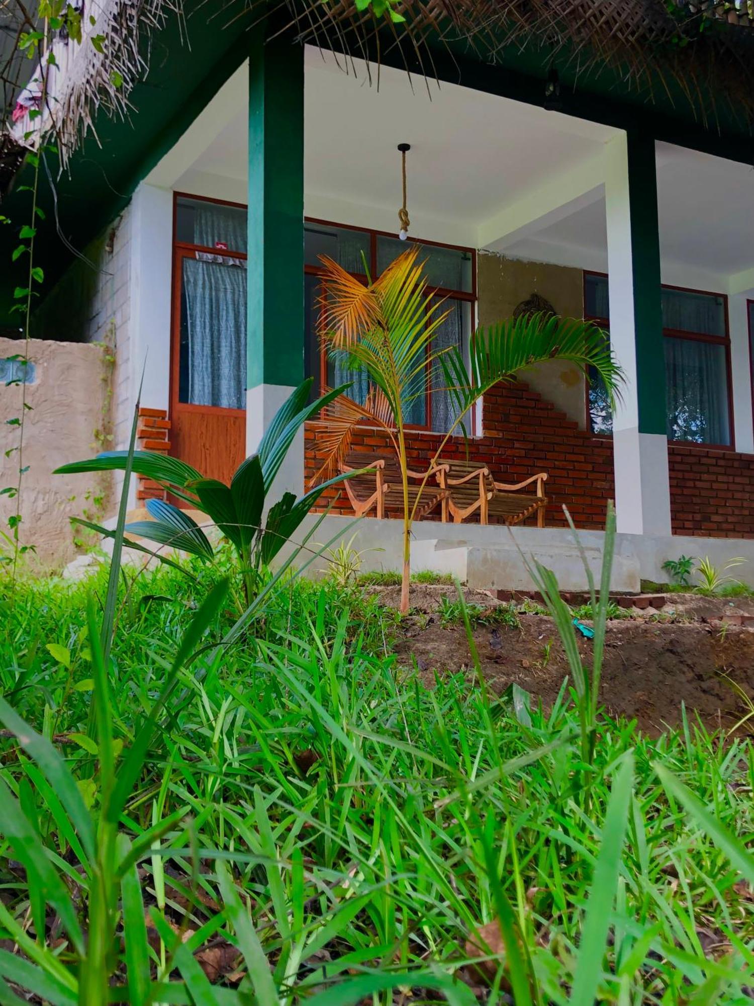 Wilpattu Green Cabin Achchamulai Zewnętrze zdjęcie